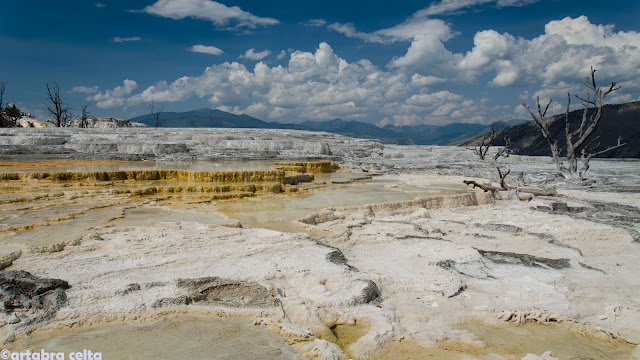 YELLOWSTONE NATIONAL PARK (USA)