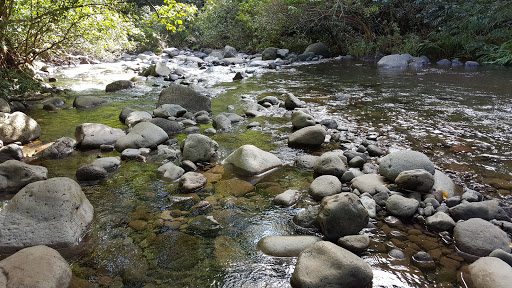 Iao Valley State Park