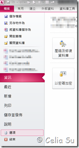 Access 選項設定 其他操作0