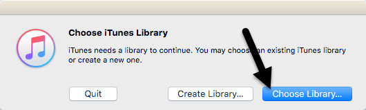 choisir la bibliothèque itunes