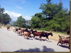 2015-06-09 biquettes poros