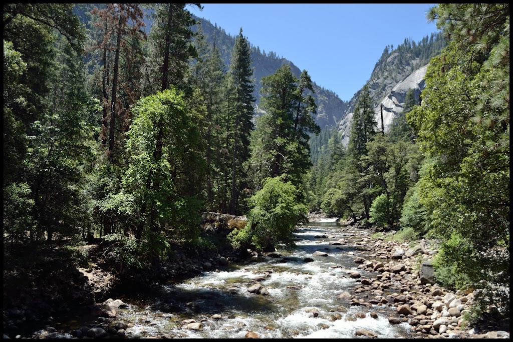 INTENSA RUTA POR LA COSTA OESTE USA 2015 - Blogs de USA - YOSEMITE (13)