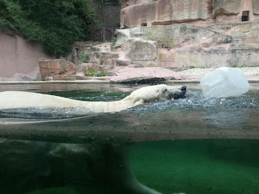 Nuremberg Zoo