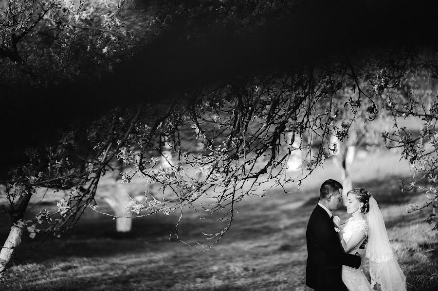 Bröllopsfotograf Aleksandr Tegza (sanyof). Foto av 18 maj 2015