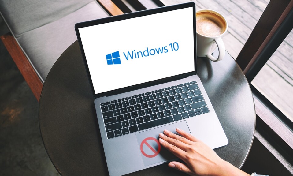 Arreglar el desplazamiento del panel táctil que no funciona en Windows 10_1