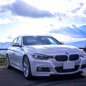 320i M Sport (F30)