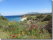 IMG_0047 IMG_0047