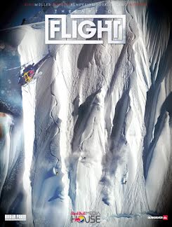 The Art of Flight (2011)