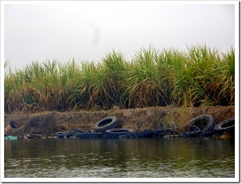 Riverside Boat tour