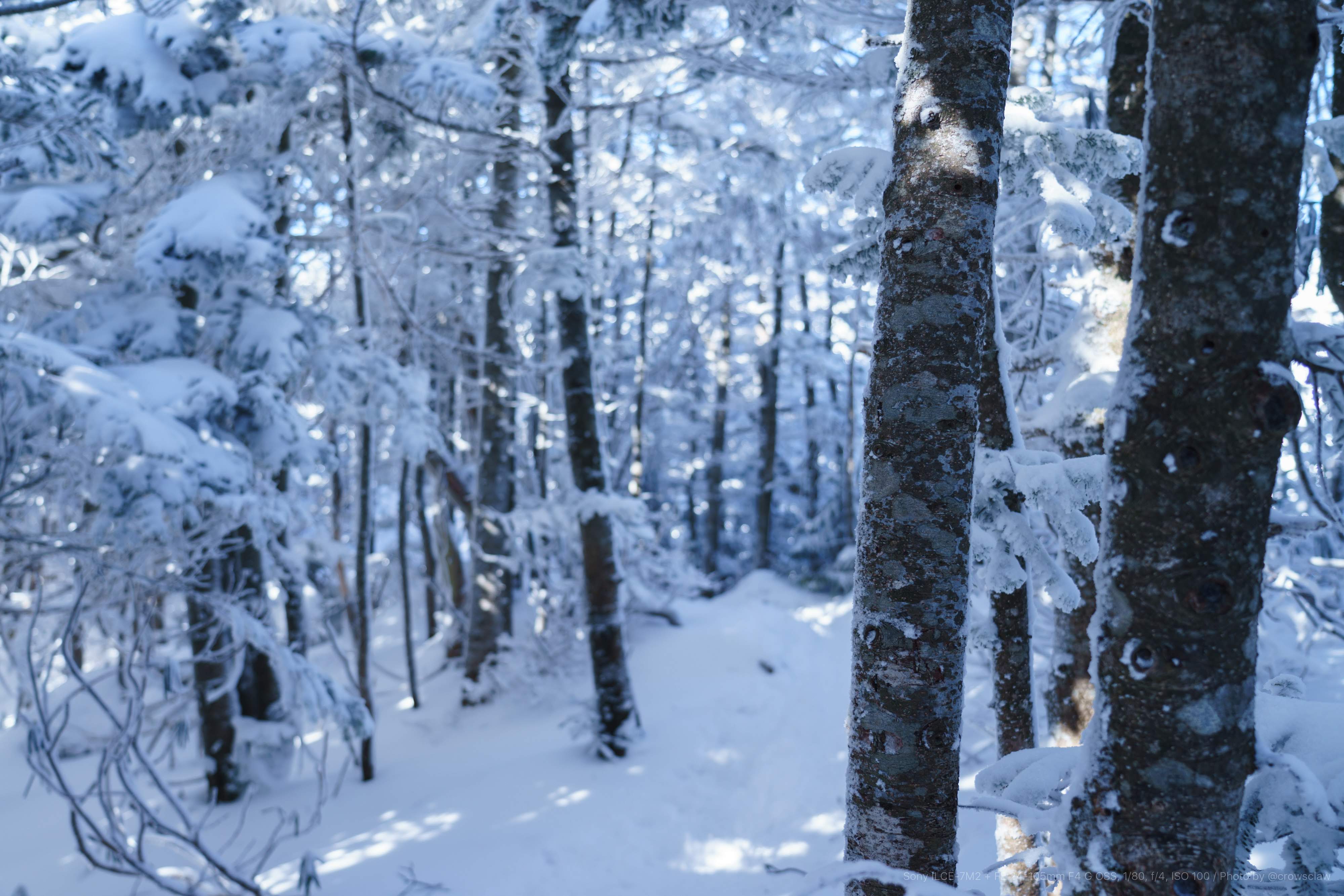 黒斑山 18年を雪山で締めくくる Crow Sclaw