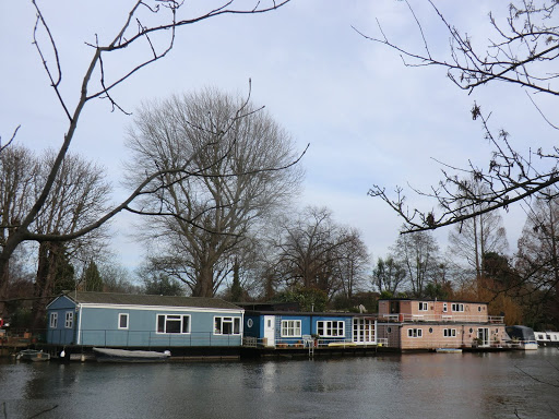 CIMG2691 Houseboats, Tagg's Island