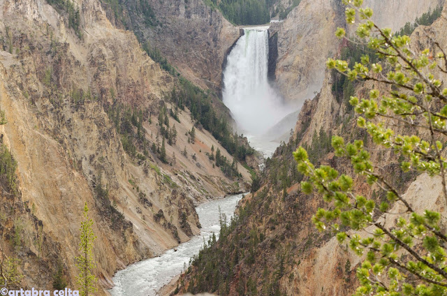 CAÑÓN DEL RÍO YELLOWSTONE (YELLOWSTONE N.P. WYOMING, USA)