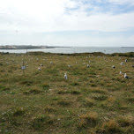 forteiland in IJmuiden, Velsen in IJmuiden, Netherlands 