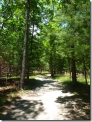 Hike to Stone Mountain Falls