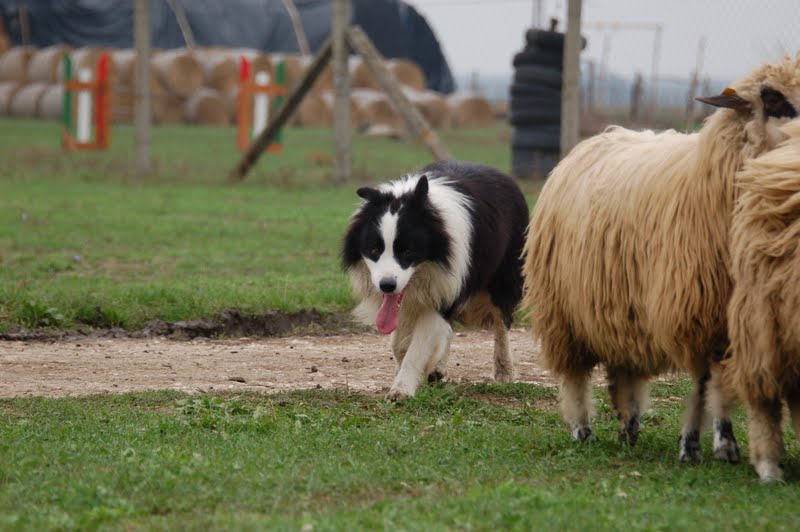 DSC_0147.JPG