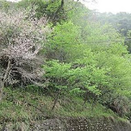 清境瑪格麗特紫屋餐廳