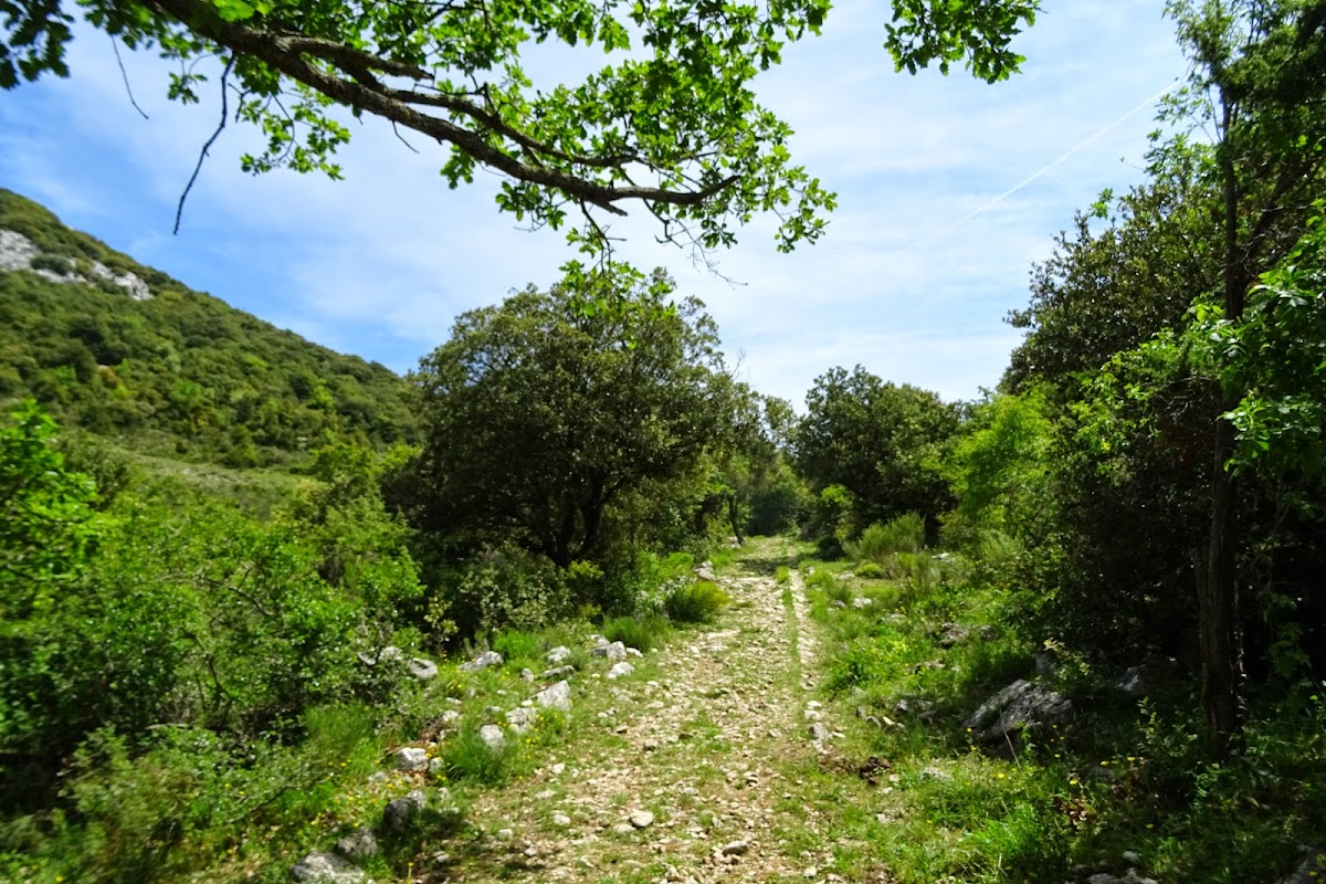 DSC03738.JPG