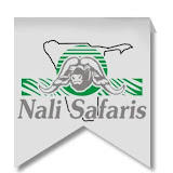 Nali Safaris Namibia