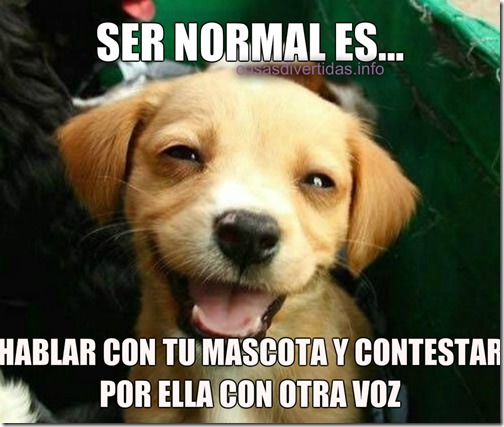 ser normal 5