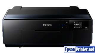 How to reset flashing lights for Epson SC-P608 printer