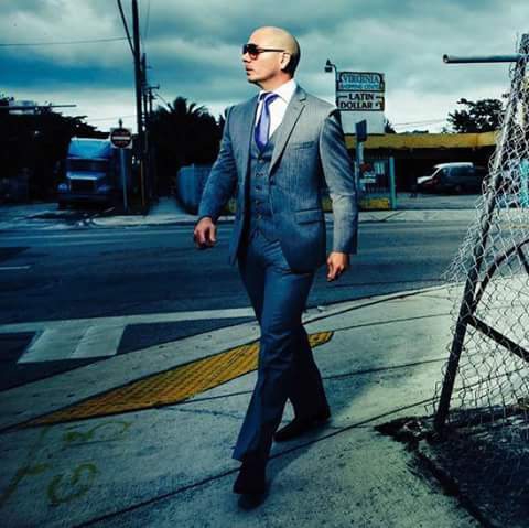 Pitbull Awesome Dp Profile Pictures