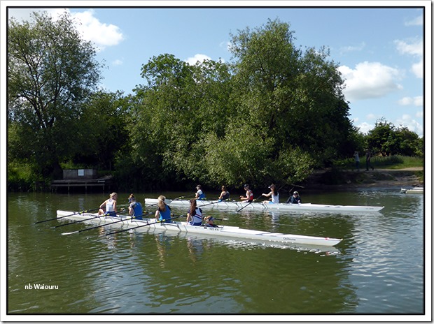 rowing skiffs at oxford