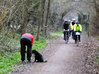 group riding towards dog walker