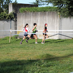 ProvAbsCT2013