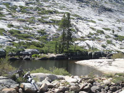 The largest of the deep pools in the West Fork.