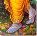 [Krishna's lotus feet]