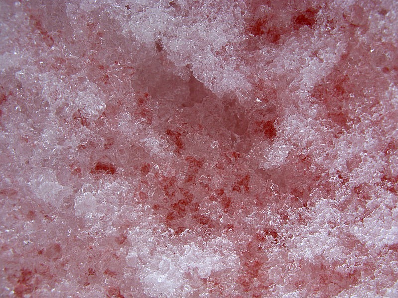 watermelon-snow-4