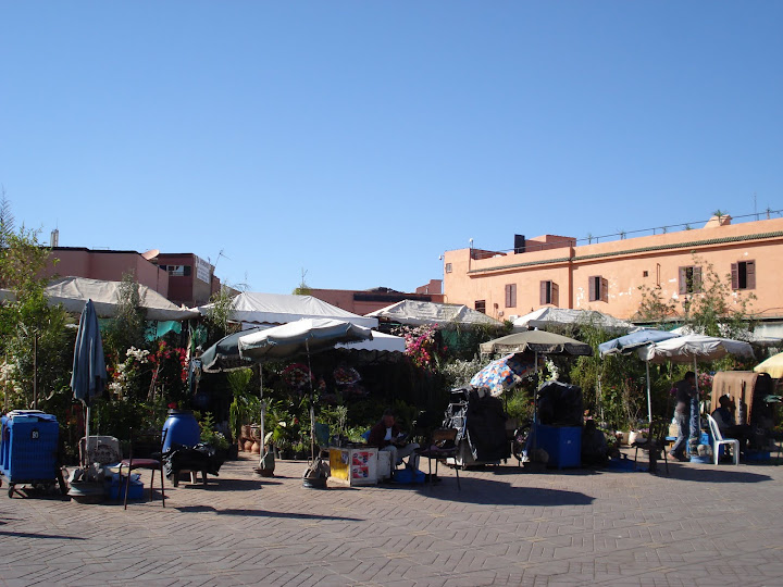 Viaje en tren por Marruecos - Blogs de Marruecos - Etapa 8. Essaouira - Marrakech (6)