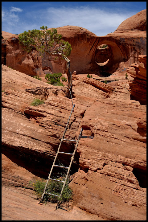 INTENSA RUTA POR LA COSTA OESTE USA 2015 - Blogs de USA - CANYONLANDS-POTASH ROAD-ARCHES (18)