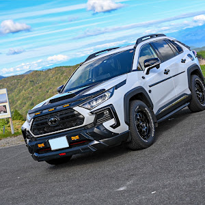 RAV4 MXAA54