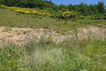 terrain à Tournemire (12)