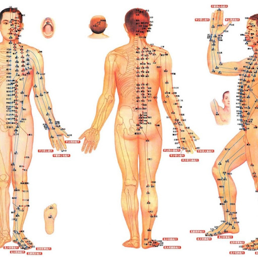 Root & Branch Oriental Therapies