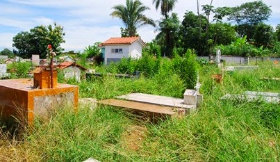 Cemitério municipal está cheio de mato – túmulos estão praticamente cobertos pela vegetação.