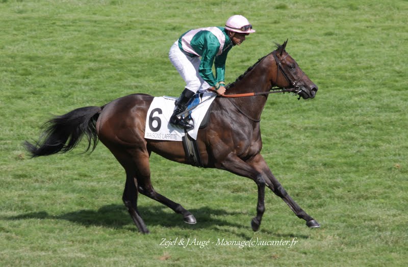 Photos Maisons-Laffitte 5-07-2015 IMG_2496