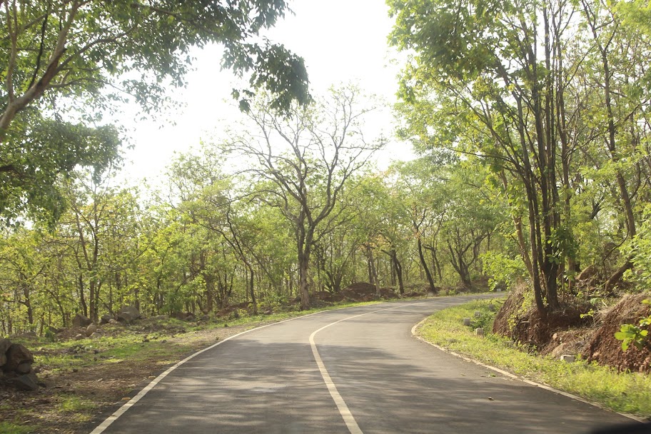 view from car