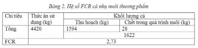 Nuôi cá nhụ bốn râu trong ao nước biển - 5695c774177cd