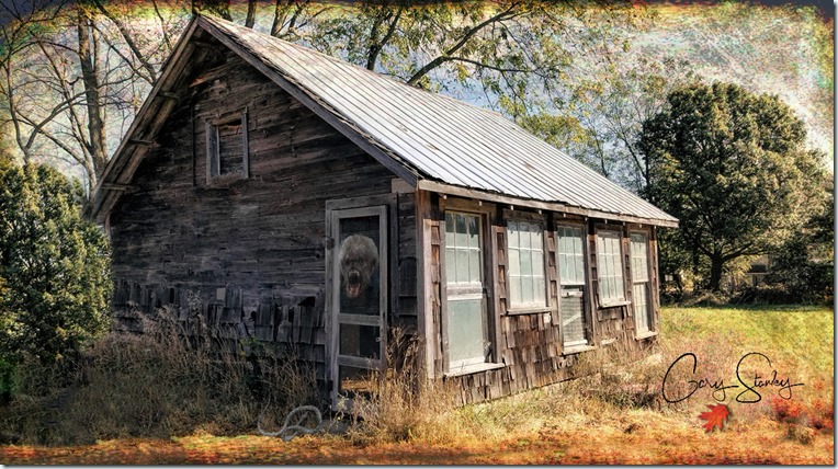 Halloween House