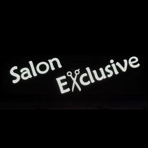 Salon Exclusive logo