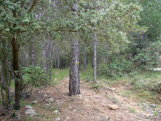 Senderismo - Vallibona - Turmell - Santa Àgueda