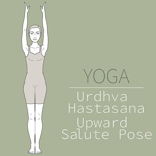 Woman performing Urdhva Hastasana, Upward Hand Yoga Pose, asana from Surya  Namaskar sequence, Sun Salutation complex. Flat vector illustration  isolated on white background 8324427 Vector Art at Vecteezy