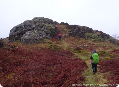 tarn hows 003