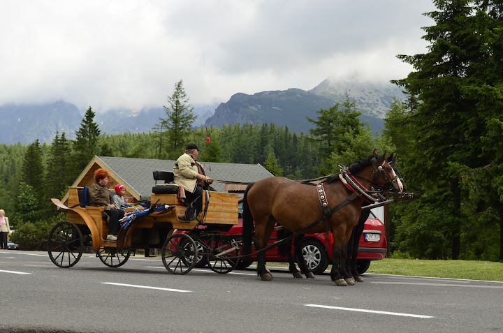Татры, июнь 2015. с собакой