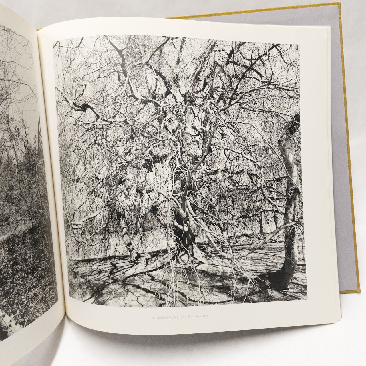 Lee Friedlander: Photographs Frederick Law Olmsted Landscapes Book