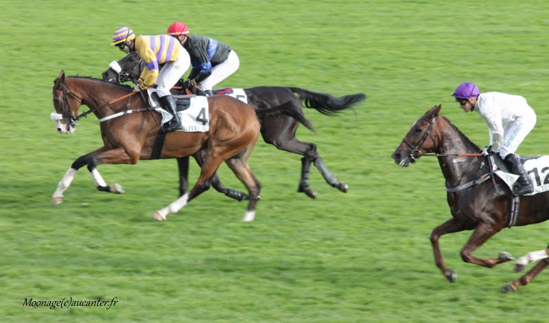 Photos Auteuil 26-09-2015 - Page 2 IMG_4324