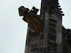 DSC02142.JPG