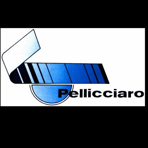 Autoricambi Pellicciaro Marco logo